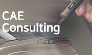 CAE Consulting