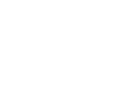 CAE Consulting